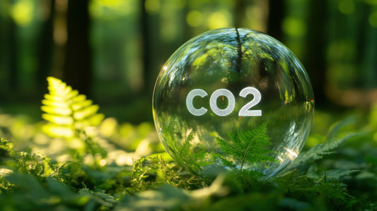 Steigende CO₂-Preise in der EU: Innovation als Schlüssel zur Energieeffizienz