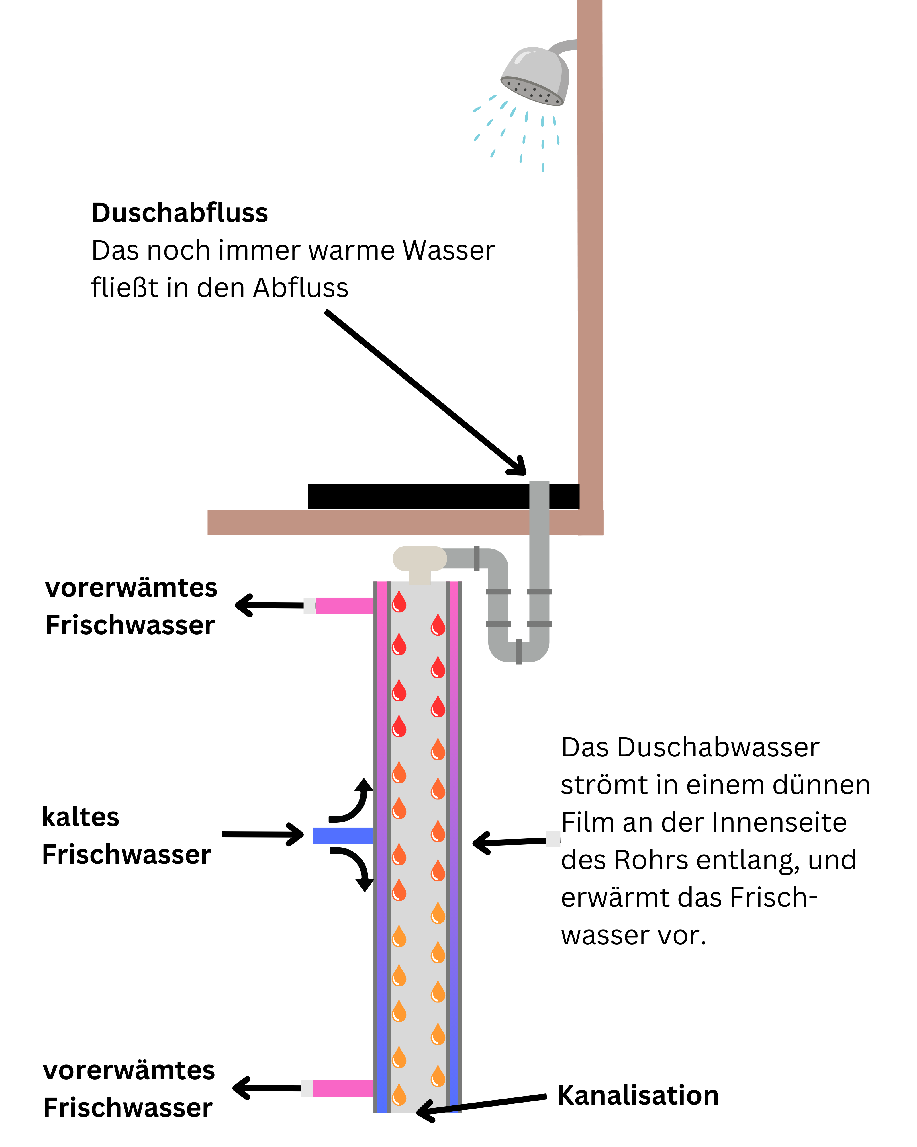 Schematische Darstellung der Funktionsweise eines HF-Duschrohr-Wärmetauschers (High Flow): Warmes Duschabwasser fließt im inneren Kupferrohr nach unten, während kaltes Frischwasser im Gegenstrom zwischen Kupferrohr und PVC-U-Rohr nach oben strömt und dabei vorgewärmt wird, ausgelegt für höhere Durchflussmengen.