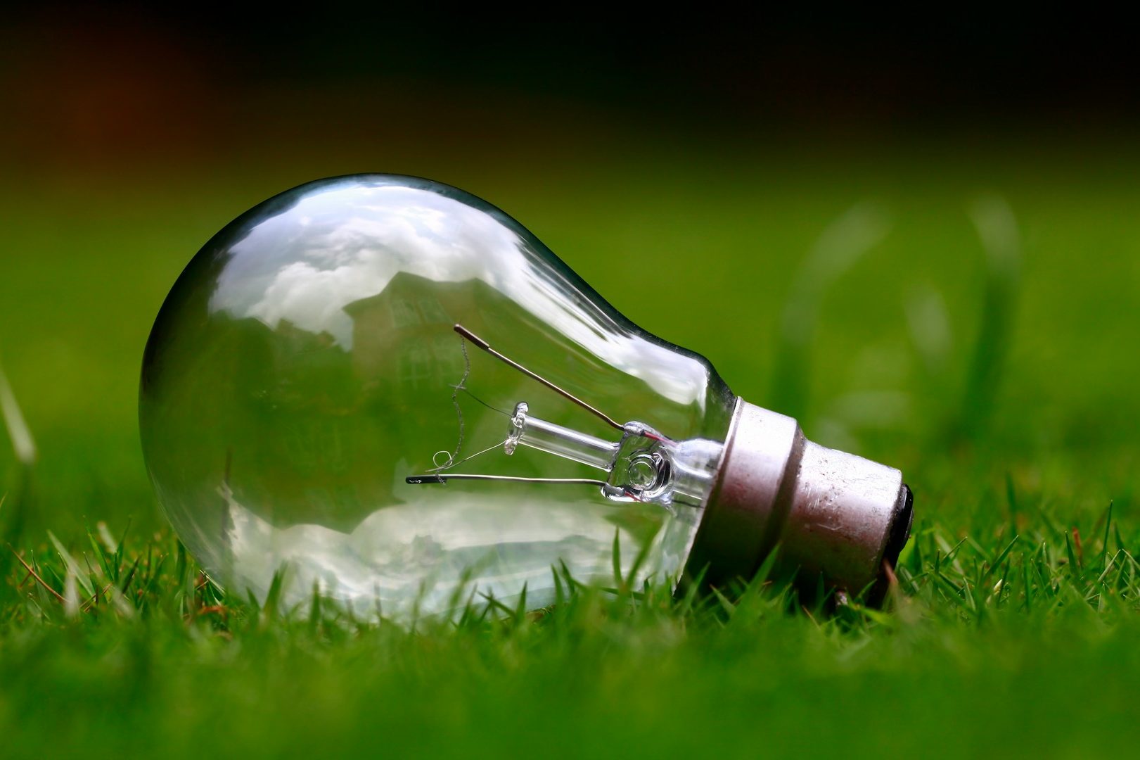 Symbolbild einer Glühbirne im Gras als Sinnbild für Energieeffizienz: Energieberatung Christensen nutzt den Energieausweis, um den energetischen Zustand von Gebäuden zu bewerten, zu vergleichen und gezielte Modernisierungsempfehlungen abzuleiten.