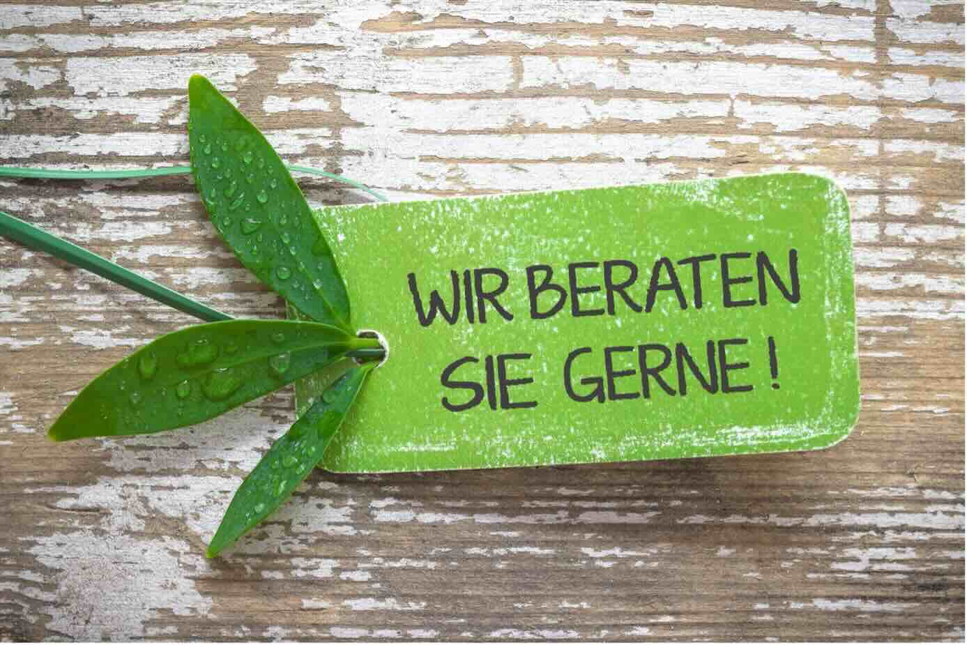 Beratungsübersicht von Koch-Bautechnik: Symbolbild mit grüner Karte „Wir beraten Sie gerne“ und Leistungen der Energieberatung. Aufgelistet sind unter anderem individuelle Sanierungsfahrpläne (iSFP), energetische Baubegleitung für Neubau und Sanierung, Energieausweise, Hauskaufberatung, Auditierung nachhaltiger Gebäude sowie ein strukturierter 4-Stufen-Sanierungsplan.